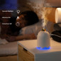 Cute Portable Air Humidifier