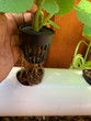 Hydroponic Farming NFT Garden Pipe System
