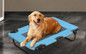 Portable Foldable Elevated Camping Dog Bed for Large Dogs