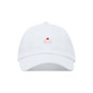 Embroidered Cake Dad Hat - Baseball Cap / Baseball Hat