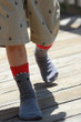 Shark Leg Eater Socks for Men- Extended Size
