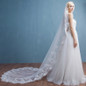 Lace Appliques Edge Cathedral Length Bridal Wedding Veil