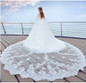Luxury 4 Meters Long Full Edge Lace Wedding Veil One Layer White Ivory Tulle Bridal Veil with Comb
