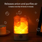 Himalayan Crystal Salt Lamp