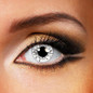 cosplay Halloween white (12 months) contact lenses