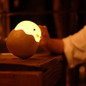LED Night Light Chick Egg Shape Tumbler Rechargeable Baby Nursery Bedroom Lamp
