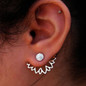 Alloy Earrings Ear Jewelry Accessories