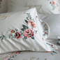 High Quality Luxury Embroidery 100S Satin Egyptian Cotton Bedding Set