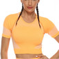 Seamless Women Yoga Set Leggings+Cropped Shirts Gym Workout Sport Clothing
