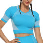 Seamless Women Yoga Set Leggings+Cropped Shirts Gym Workout Sport Clothing