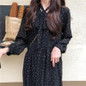 Women Chiffon Dress Spring Summer New Fashion Female Long Sleeve
