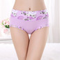 New Underwear Women Panties Plus Size Briefs Sexy Panties Shorts Lingeries Calcinha Underpant Panty Girl Cotton Underwear Ladies
