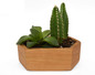 Wooden Succulent Planter