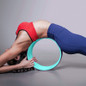 Dharma Yoga Training Wheel