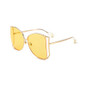 Women's  Fashion Big Frame Gradient Sunglasses