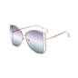 Women's  Fashion Big Frame Gradient Sunglasses