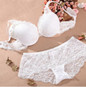 Women Underwear Intimates Set Push up Bra Set Transparent Lace Bra and Panty Set Lingerie Set