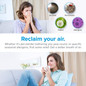Air Purifier For Home