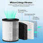 Air Purifier For Home