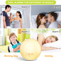 Wake Up Light Sunrise Alarm Clock, 7 Colors Bedside Night Light