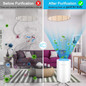 Air Purifier for Home Smoke Pollen and Pets Hair in Bedroom Office.