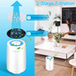 Air Purifier for Home Smoke Pollen and Pets Hair in Bedroom Office.