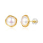 Gold Finish Fashion Jewelry Stud Earrings