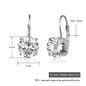 Trendy 925 Sterling Silver Earrings for Women Jewelry Gift