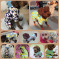CUTE Printed Jumpsuit for Pet Dog