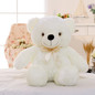Creative Light Up LED Inductive Teddy Bear