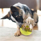 Slow Feeder Treat Ball for Pet Increases IQ Interactive