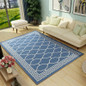 Modern area rugs/living room rugs