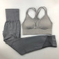 Seamless Yoga Set Push-up Strappy Sports Bra 2 Pcs Sports Suits