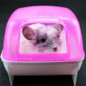 Hot sell Free Bathroom Sauna Bathtub Hamster can effectively prevent the bath fly out Chinchilla Rat Molina Hamster accessories