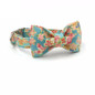 POPPY | DOG COLLAR & BOW TIE