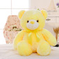 LED Light Stuffed Teddy Bear™