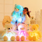 LED Light Stuffed Teddy Bear™