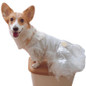 Dog Wedding Dress For Luxury Princess