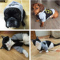 Dog Winter Warm 100% Cotton Padded Hoodies