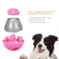 Pet Food Dispenser Toy