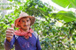 Nicaragua Award-Winning Single Estate Coffee