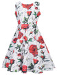 Casual Round Neck Belt Floral Printed Vintage Skater Dress