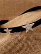 Casual Stars Shape Leather Choker Necklace