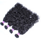 4 Bundles Water Wave Brazilian Virgin Hair 100% Human Hair Extensions Natural Color Human Hair Weaving Hair Products Prosa