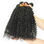 3B 3C Kinky Curly Human Hair Bundles With Closure Brazilian Natural Hair Weave Bundles With 4X4 Closure Remy Hair Prosa