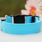 Nylon LED Pet Dog Collar,Night Safety Flashing Glow In The Dark Dog Leash,Dogs Luminous Fluorescent Collars Pet Supplies