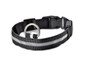 Nylon LED Pet Dog Collar,Night Safety Flashing Glow In The Dark Dog Leash,Dogs Luminous Fluorescent Collars Pet Supplies