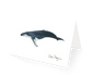 Humpback Whale