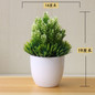 Artificial Plants Bonsai Small For Home Decoration