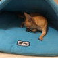 Warm & Cozy Nestling Cave Bed for Puppies and Small Dogs